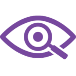 icon3_web - VueGuard - VueGuard appearance icon