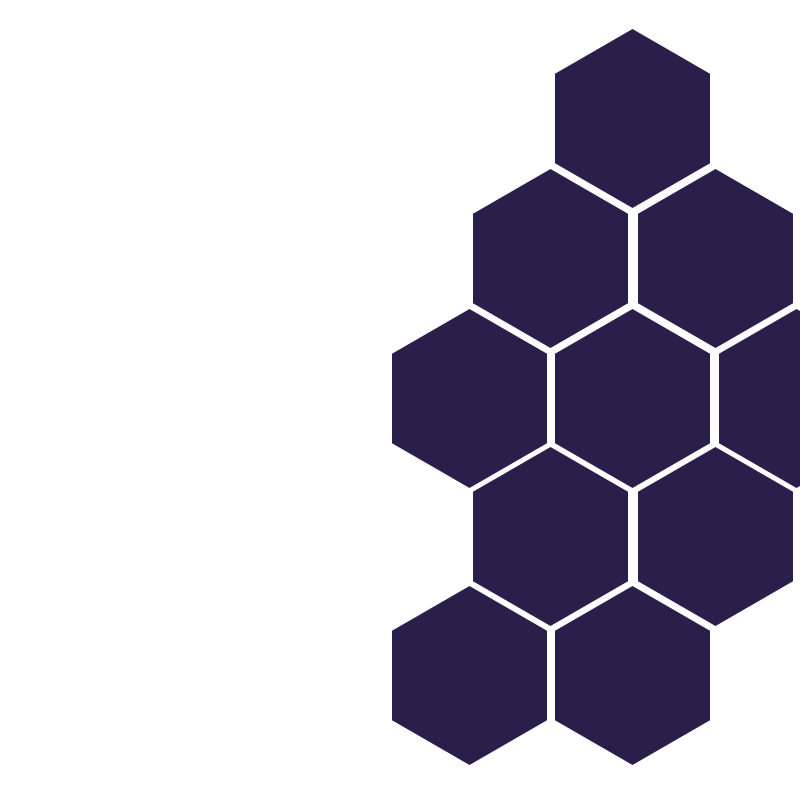 vueguard hex pattern side