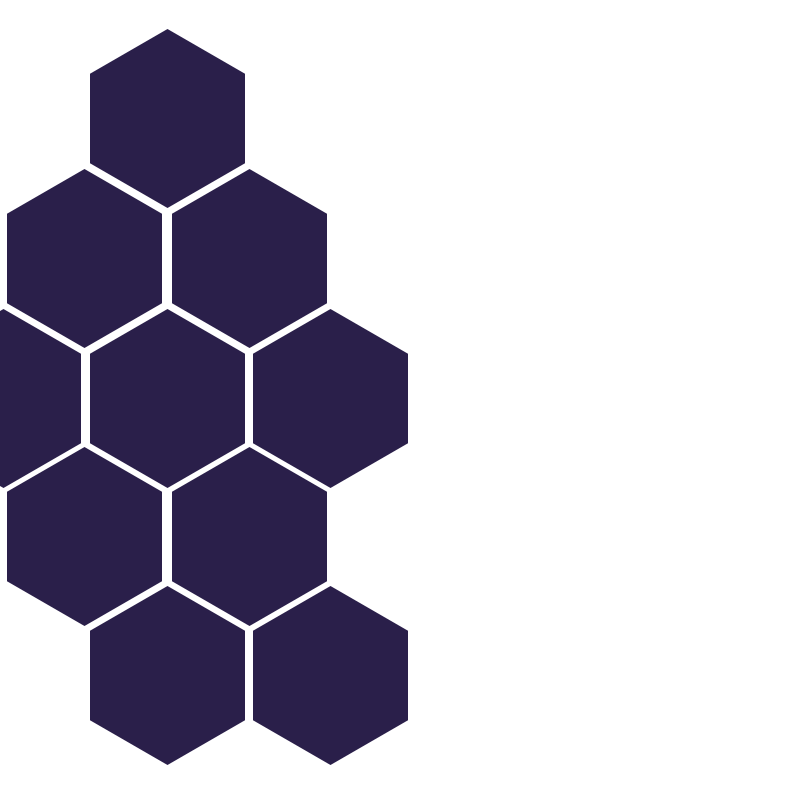 VueGuard Hex Side